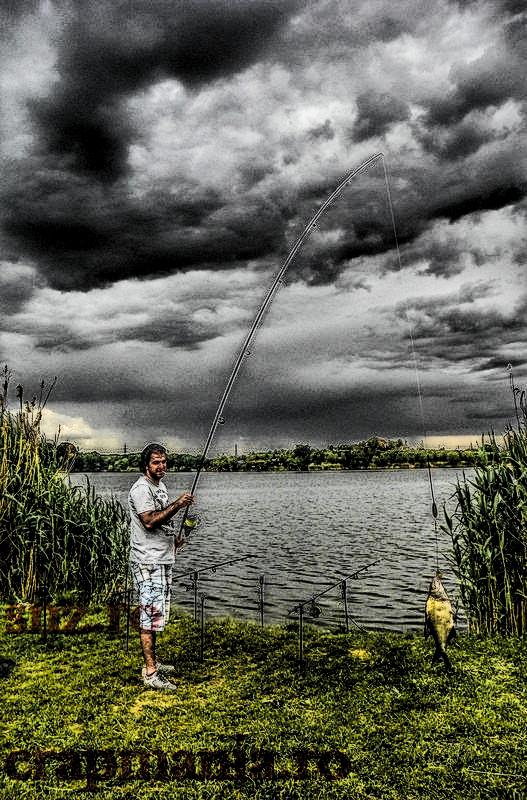 Crapmania (3) - 2013 - 1010979hdrmode2.jpg